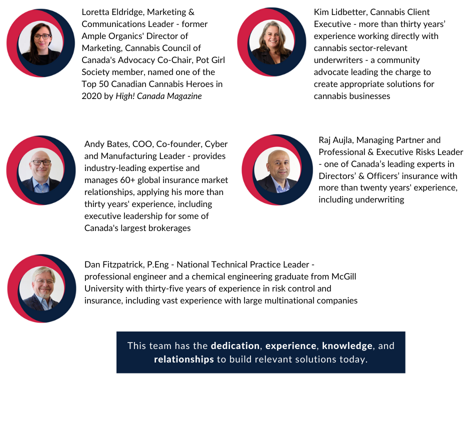 Cannabis-Team-Website-V2.png